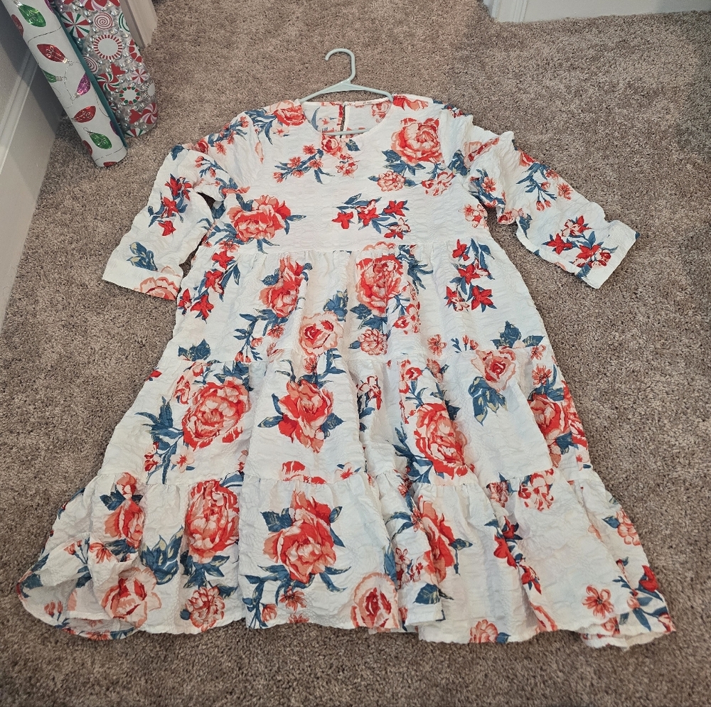 Francesca’s Floral Mini Dress Large MI AMI